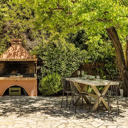 Oleanna - Elena Zvoronáta